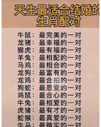 属猪怎么组词