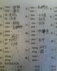 当字组词多音字组词(当字组词多音字组词和拼音)