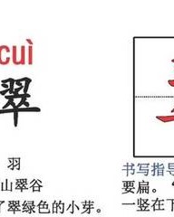 羽的组词和拼音(羽的组词拼音是什么)