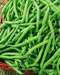 组词豆