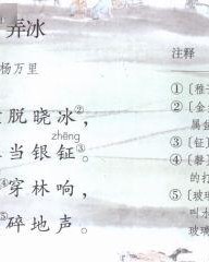 陂怎么组词漪