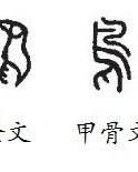 鸟怎么组词