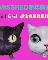 模仿的猫怎么组词