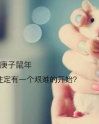 主人的主怎么组词