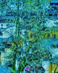 暖和的组词(暖和组词拼音)