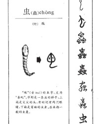 双龙虫怎么组词