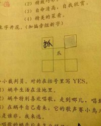 爪加偏旁组词(爪加偏旁部首)