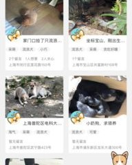 汪仔的仔怎么组词