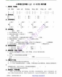 贝壳组词