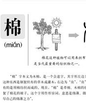 棉絮的棉怎么组词