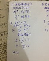 突变的突可以怎么组词