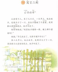 供可以怎么组词