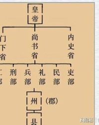 真相的相该怎么组词
