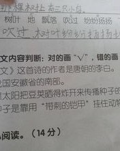 纷纷扬扬的怎么组词