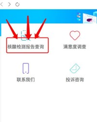 核酸抗原怎么组词