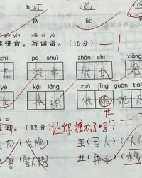 卢照的照怎么组词