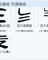 又是又是怎么组词