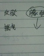挚字组词怎么组的