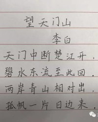 林的组词(楚的组词)