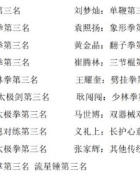 小度武术的武怎么组词