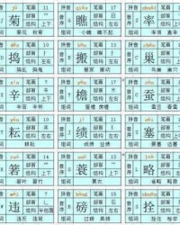 桐可以怎么组词还拼音