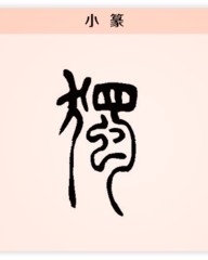 拥字组词(拥字组词和拼音和部首)