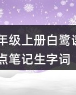 与人玫瑰的雨怎么组词