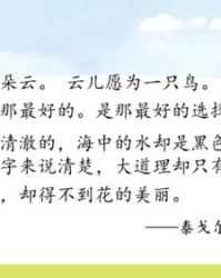 晌午的裳怎么组词