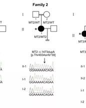 受精的精怎么组词