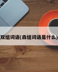 双组词语(森组词语是什么)
