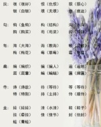 相似的字是怎么组词