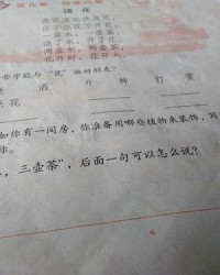 中的组词怎么写