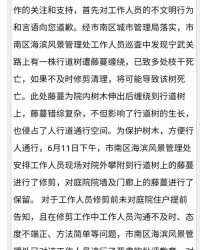 严肃的树怎么组词呀