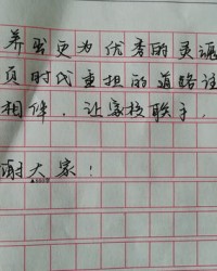 飞三个字组词(飞三个字组词有哪些)