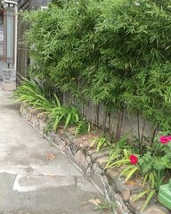 葱郁的油怎么组词