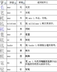 毛子可以怎么组词