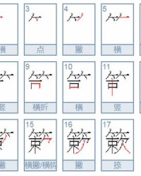 楷眼泪的楷怎么组词