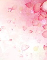 花瓣的瓣组词(花瓣的瓣组词组词)