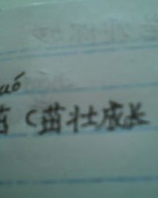 成长的成陈怎么组词