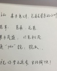 苞怎么组词