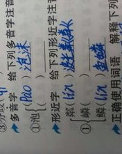 泡字多音字组词