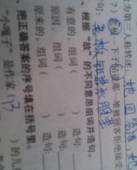什么突出怎么组词造句