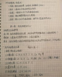 出字组词(长字组词)