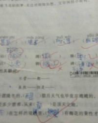 禾可以怎么组词