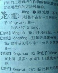 笼三声怎么组词(笼的三声多音字组词)