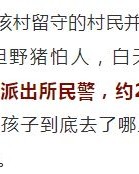不见踪迹的踪怎么组词呀