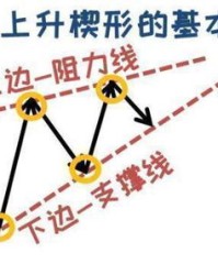 向上而上怎么组词