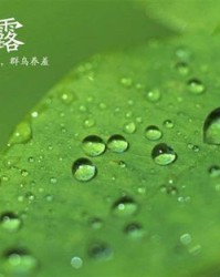 白露的露可以怎么组词
