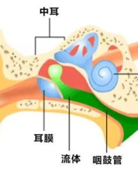 耳膜怎么组词