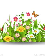 丛花丛的丛怎么组词